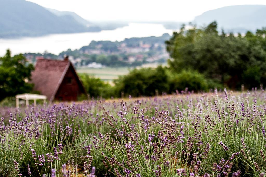 Natura Hill Panzio & Slow Food Fine Bistro 호텔 Zebegény 외부 사진